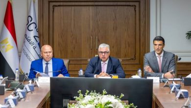 Suez Canal Economic Zone Posts Record EGP 15.9bn Revenue in FY2025/26, Up 37%