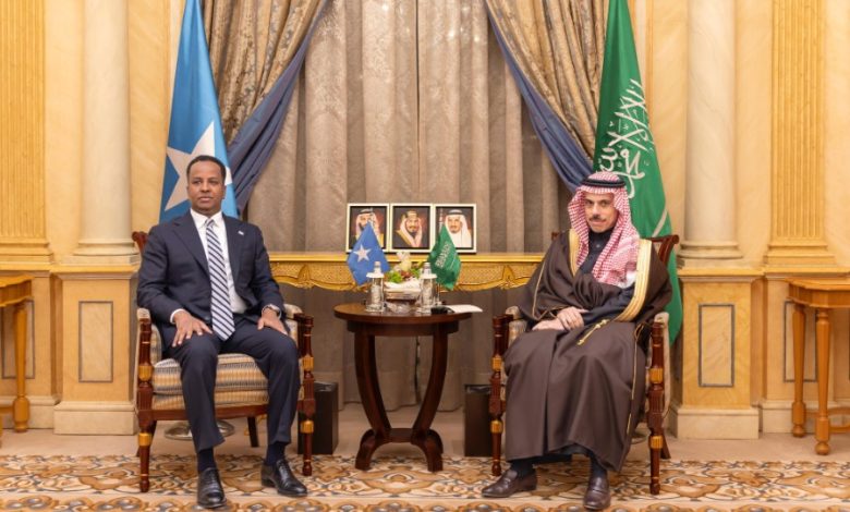 A Shared Horizon: How Saudi Arabia Is Cementing Somalia's Sovereignty