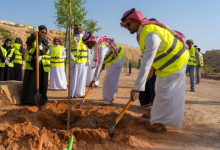 The Growing Power of Trees in Saudi Arabia's Climate Strategy