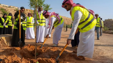 The Growing Power of Trees in Saudi Arabia's Climate Strategy