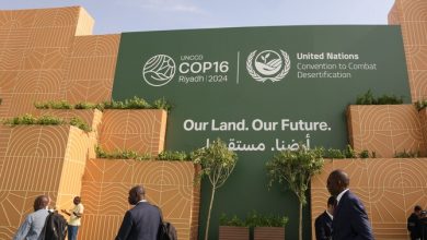 COP16 to COP17: Saudi Arabia’s Bold Legacy Takes Center Stage