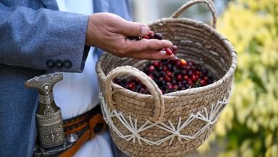 How Is Saudi Arabia Cultivating a World-Class Arabica Coffee Industry?