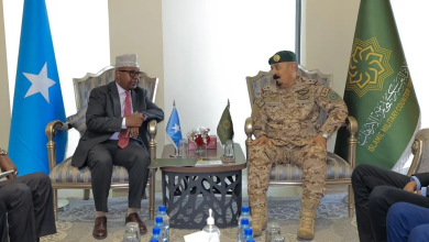 Peace Journalists: Saudi-Backed IMCTC Targets Extremist Propaganda in Somalia