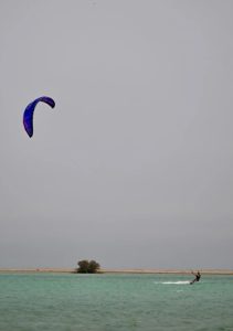 Step Off the Sand: Dive into Saudi Arabia's Marine Adventures
