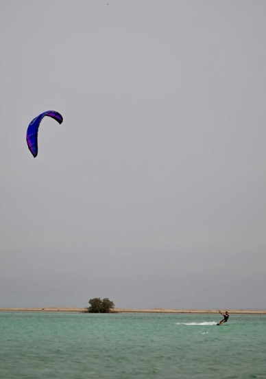 Step Off the Sand: Dive into Saudi Arabia's Marine Adventures