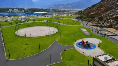 Al-Safa Park: Discover the Green Pulse of Najran's Outdoor Revival