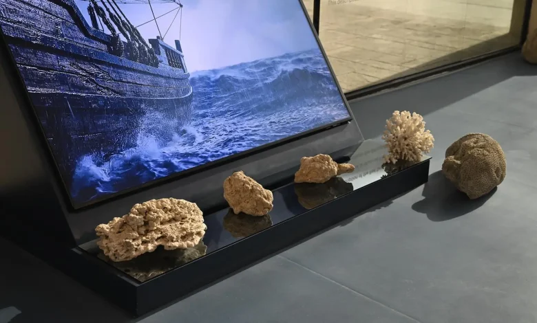 What Secrets Lie Beneath the Red Sea's Surface?