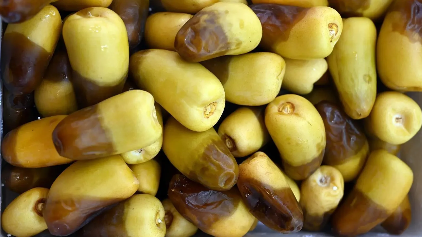 The Culinary Arts Commission has documented 35 products from Madinah among 180 Saudi products featured in the “Ark of Taste” global initiative. (Source: SPA)