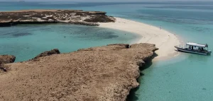 Farasan Islands (Source: SPA)