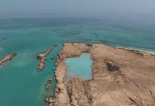 Farasan Islands: Saudi Arabia’s Rising Global Powerhouse for Nature Conservation