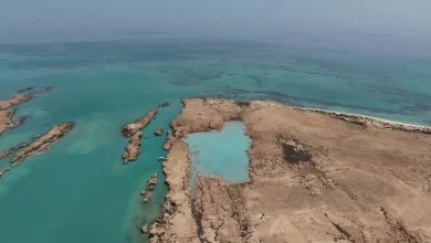 Farasan Islands: Saudi Arabia’s Rising Global Powerhouse for Nature Conservation