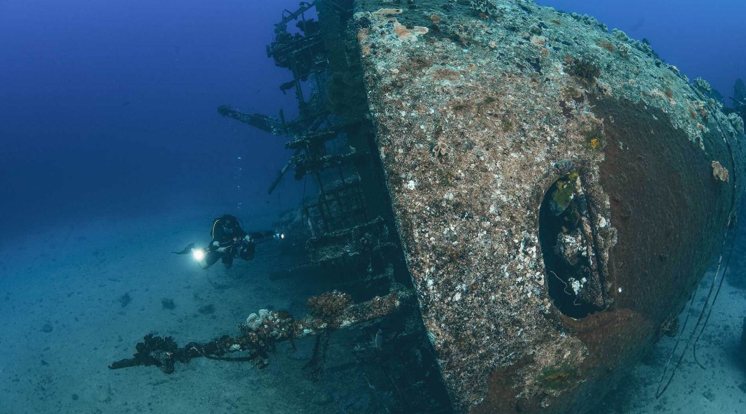 Step Off the Sand: Dive into Saudi Arabia's Marine Adventures
