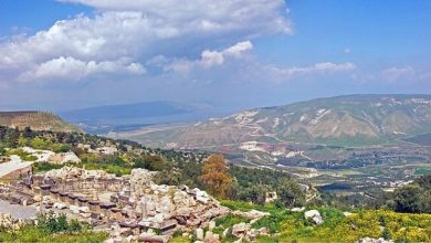 Defending Arab Sovereignty: Saudi Arabia's Firm Stand on Syrian Golan Heights