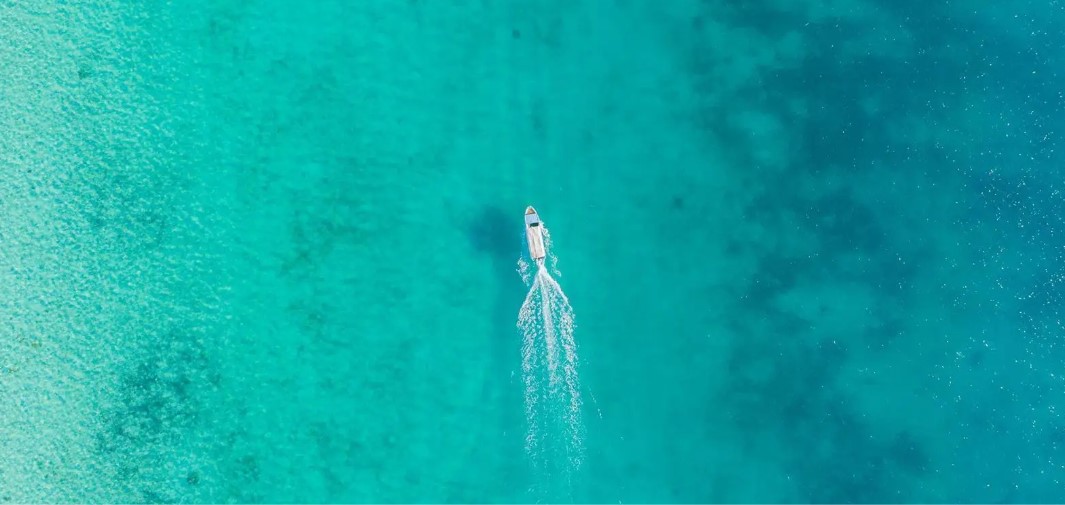 Step Off the Sand: Dive into Saudi Arabia's Marine Adventures