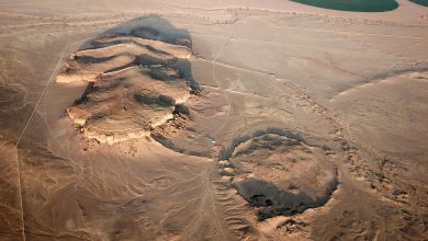 Pioneering Research Reveals the Emergence of ‘Brands’ in Bronze Age Arabia