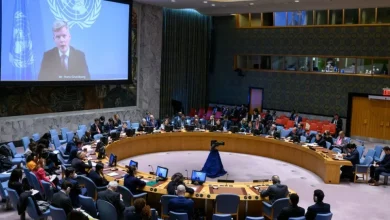 UN Security Council