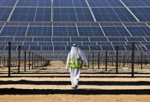 Saudi renewable energy