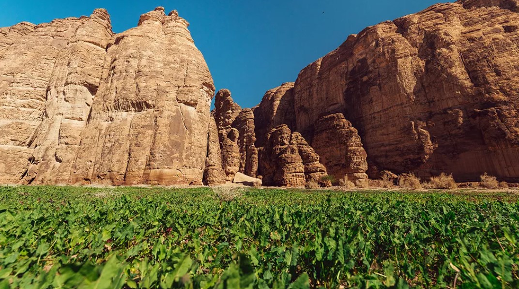Nature Meets Luxury: AlUla Sets a Global Benchmark for Regenerative Tourism