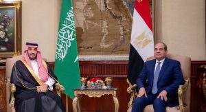 A Shock Buffer: How Saudi Arabia, Egypt Secure Europe's Winter Energy Supply