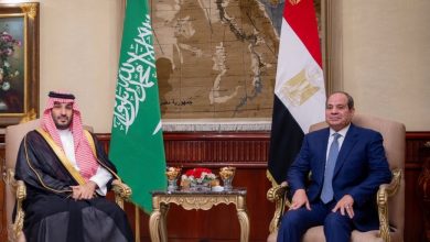 A Shock Buffer: How Saudi Arabia, Egypt Secure Europe's Winter Energy Supply