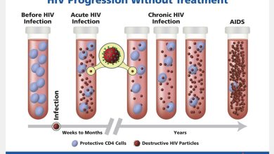Groundbreaking Research from Tennessee, USA, Unveils the Deadly HIV-Heart Disease Connection, Delivering Crucial Insights for Africa and Egypt