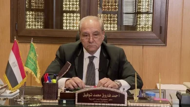 Ahmed Farouk, former Egypt ambassador to Saudi Arabia