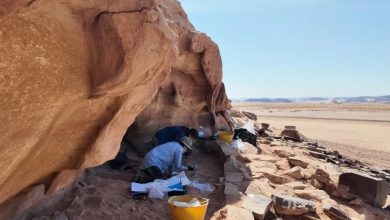 Unearthing Hidden Heritage: New Archaeology Season Opens Across AlUla & Khaybar