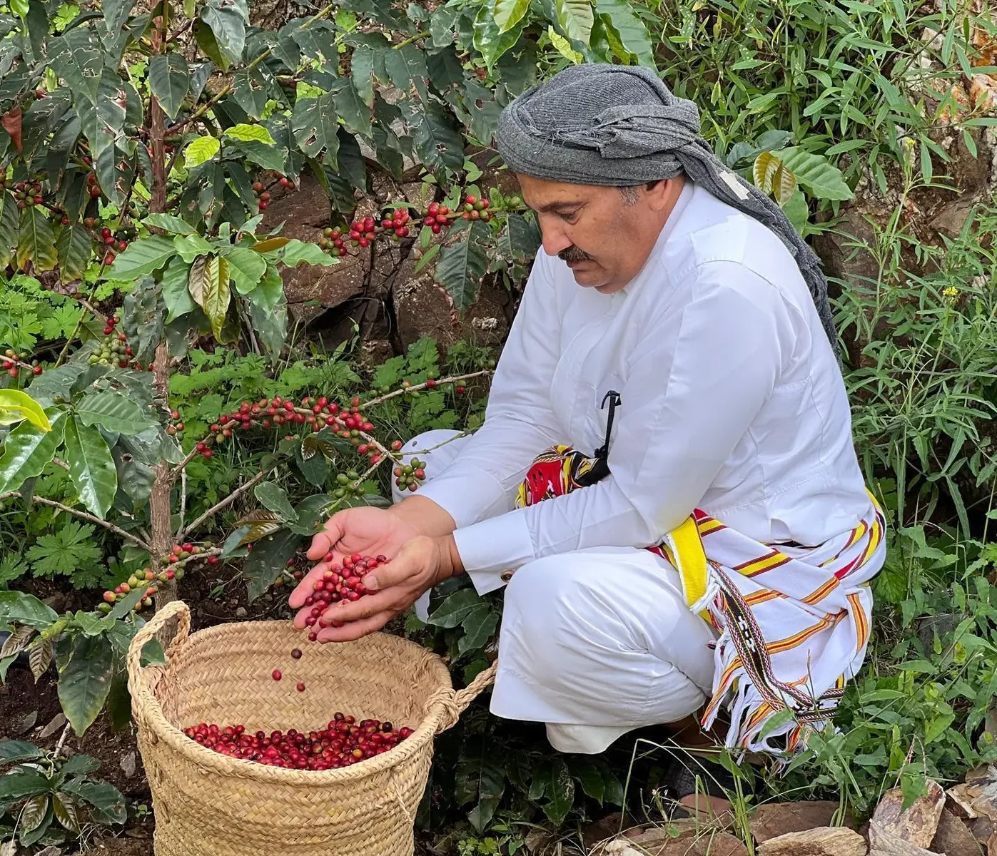 Asir (Photo: SPA)
