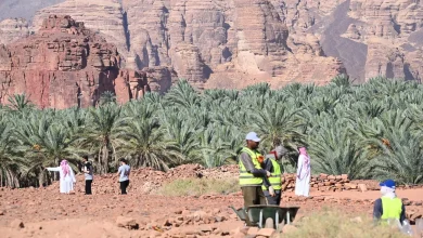 Unearthing Dadan: New Excavations Reveal New Insights into Ancient Arabian Civilization