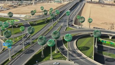 Saudi Road Code Sets Strict Distances for Roadside Parking