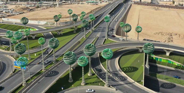 Saudi Road Code Sets Strict Distances for Roadside Parking