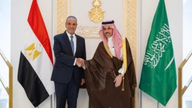 The Indivisible Alliance: Egypt Pledges Full Support to Saudi Arabia Against Houthis